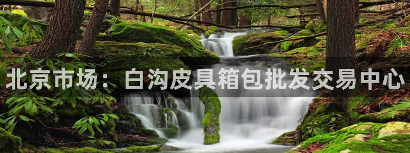 信誉辉达娱乐官方网址