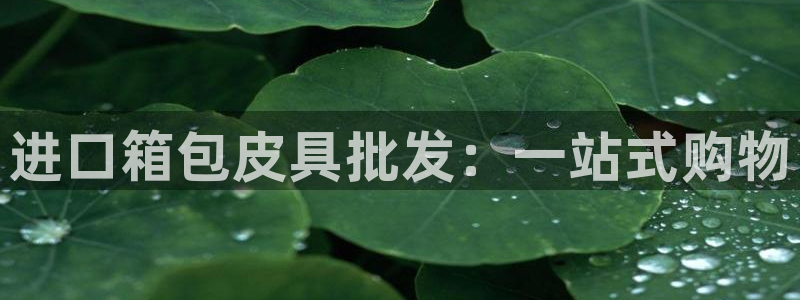 辉达娱乐丿39444