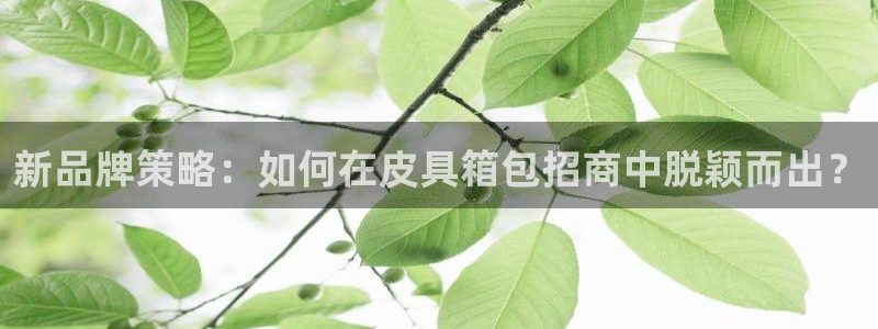 辉达娱乐最新消息新闻