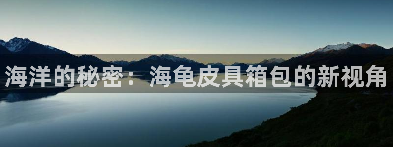 代理辉达娱乐平台