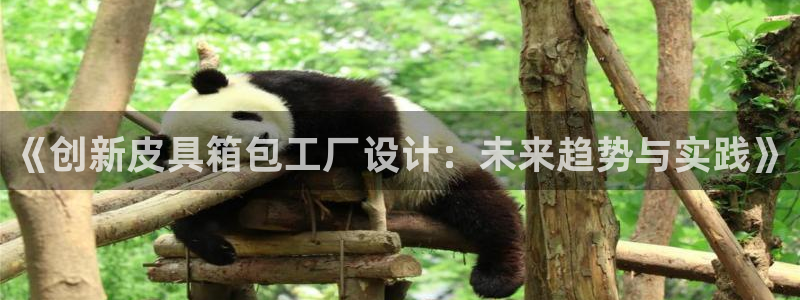 辉达娱乐多少年