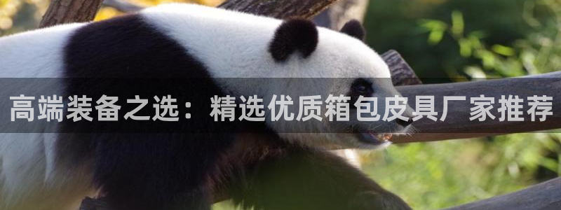 辉达平台官网下载