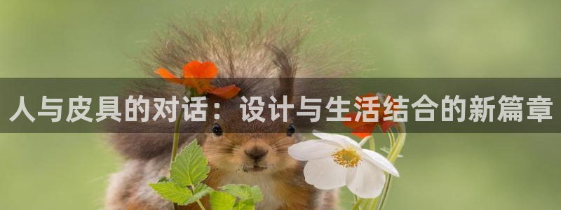 辉达娱乐珈75775