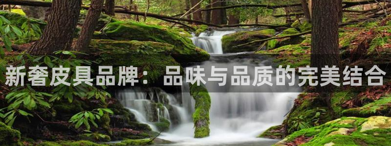 辉达娱乐体育竞猜