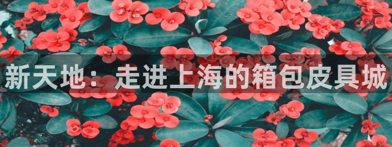 辉达娱乐五75505