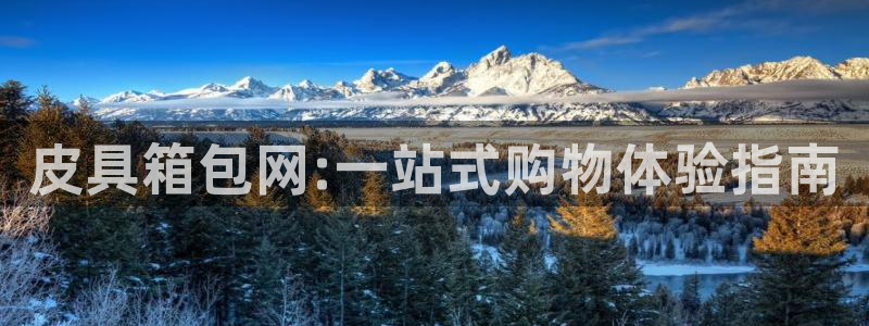 代理辉达娱乐开户注册