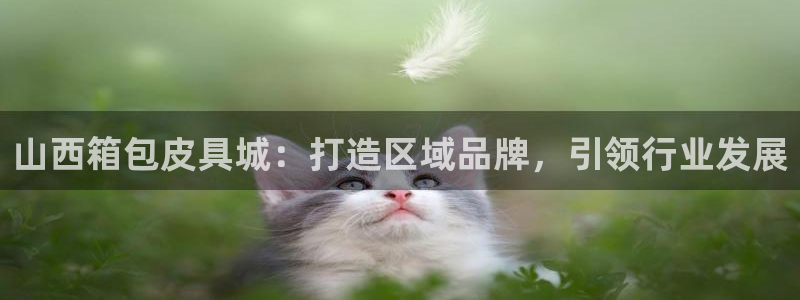 辉达娱乐己39444