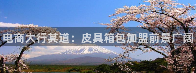 辉达娱乐ag游戏平台