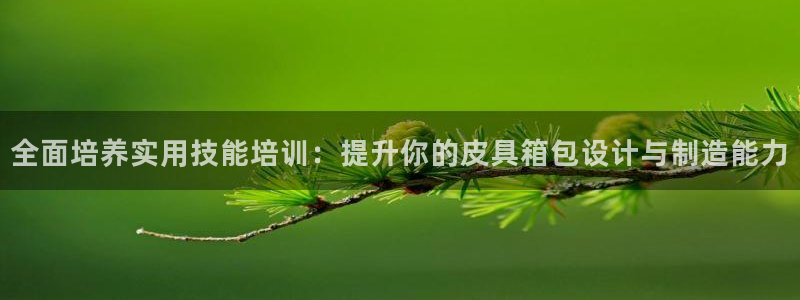 代理辉达娱乐平台