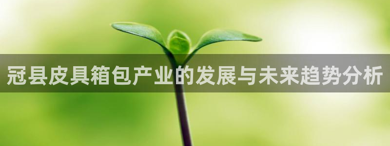 辉达娱乐新疆时时彩