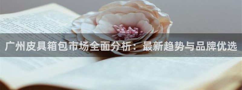 辉达平台官网网站