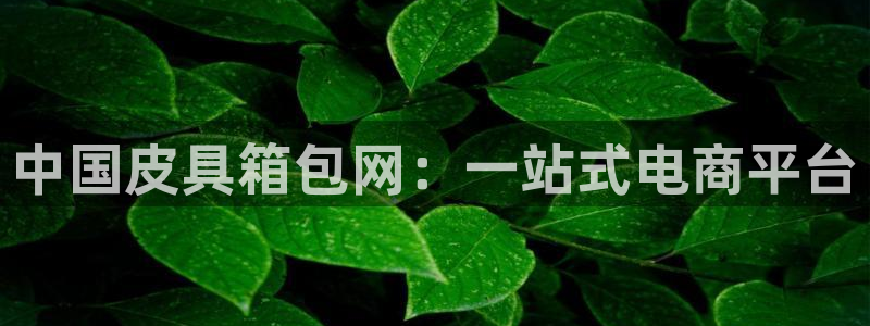 辉达娱乐最新消息新闻