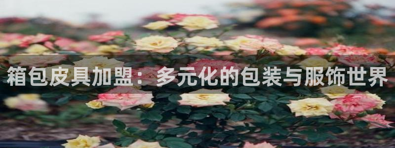 辉达娱乐最新现状