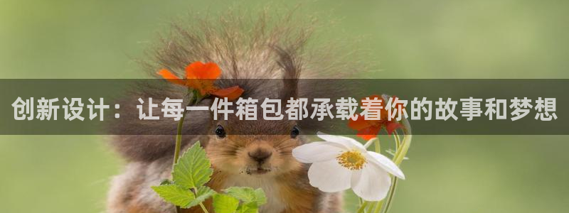 辉达娱乐珈75775