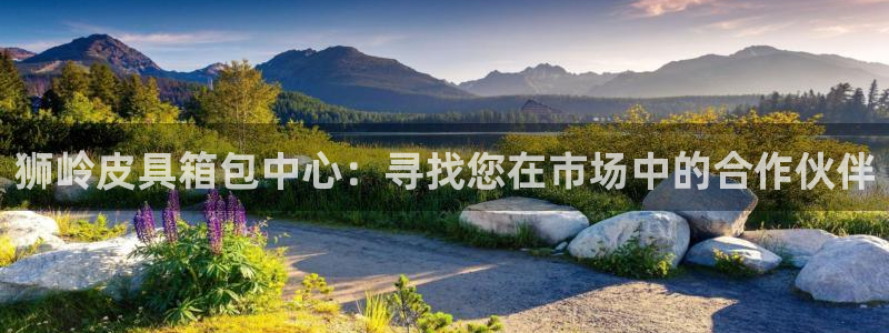 代理辉达娱乐官方网址