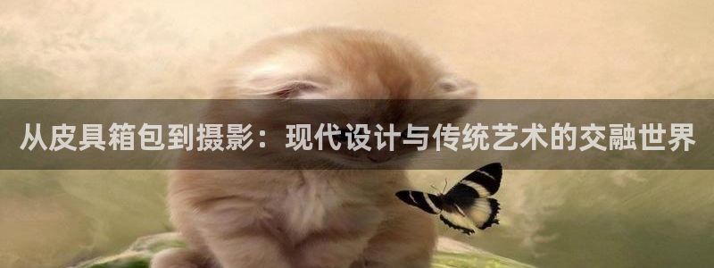 辉达娱乐电子游艺