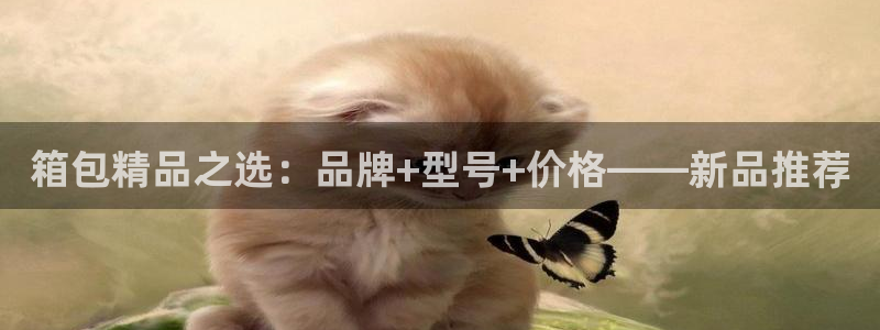 辉达娱乐丶75505