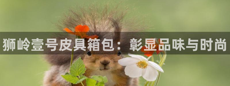 正规辉达娱乐官方网址