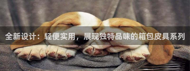 辉达娱乐珈75775