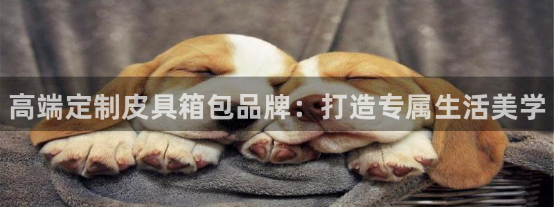 辉达娱乐丶75505