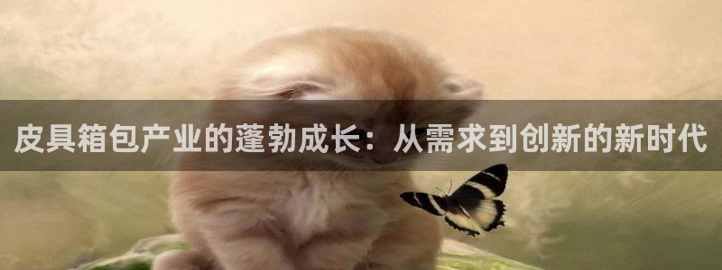 代理辉达娱乐开户注册