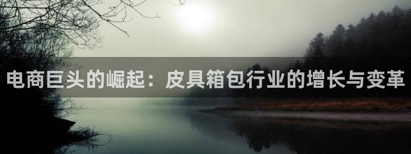 辉达平台注册官方网站入口