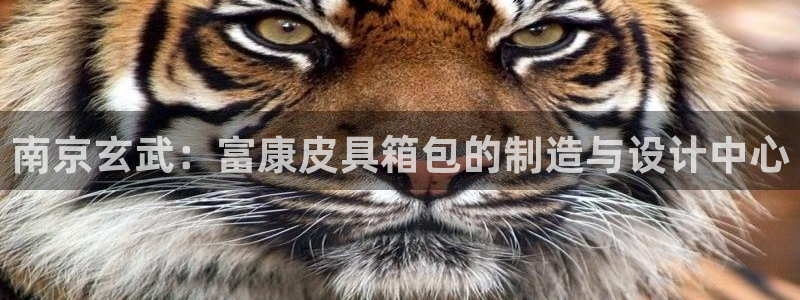 辉达娱乐加q75775稳定