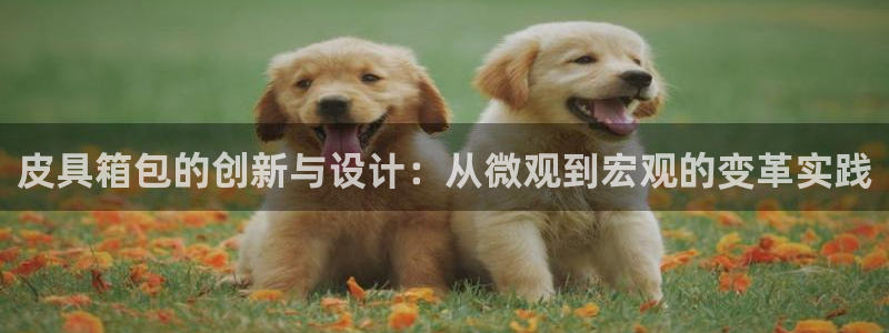 辉达平台注册资金多少