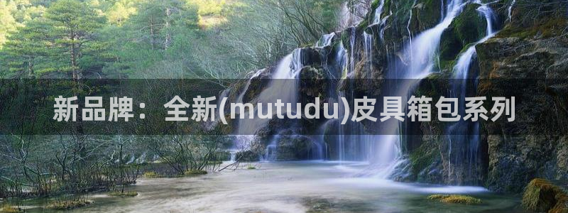 辉达娱乐最新现状