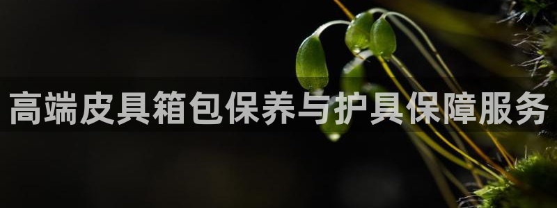 菲律宾辉达娱乐