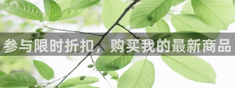 达利娱乐王辉