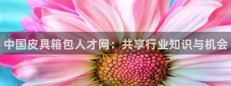 辉达娱乐丿75505