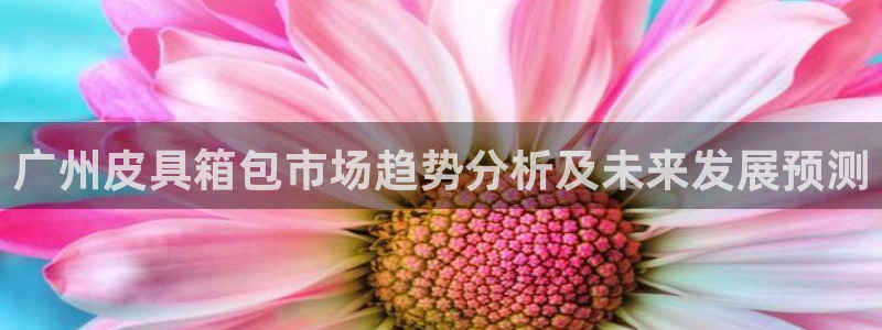 辉达娱乐123123