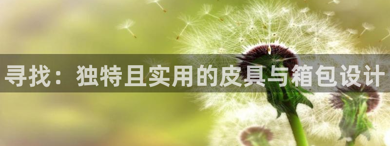 辉达娱乐多少年