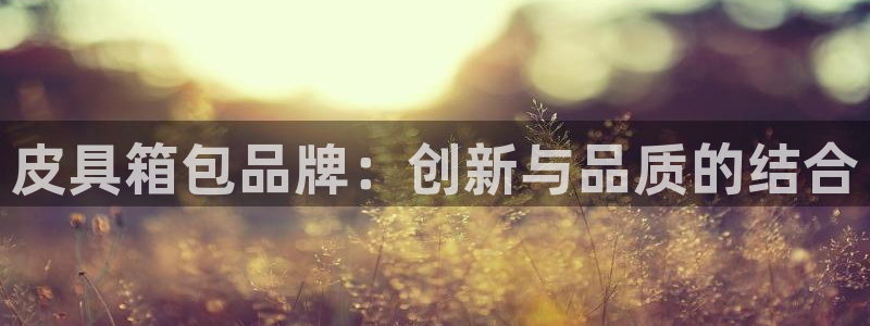 辉达娱乐登录