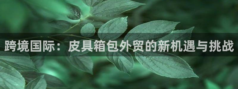 辉达娱乐计划软件
