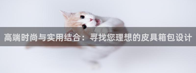 辉达娱乐平台