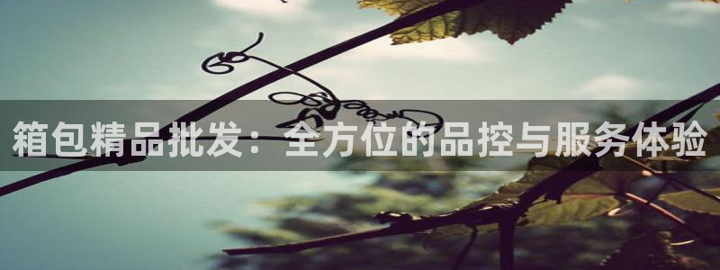 辉达娱乐网址