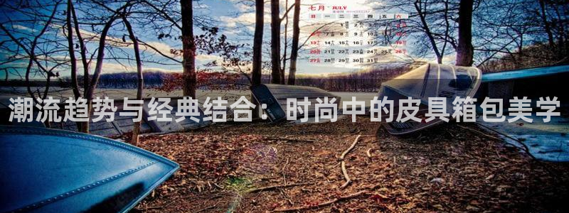 辉达娱乐网址