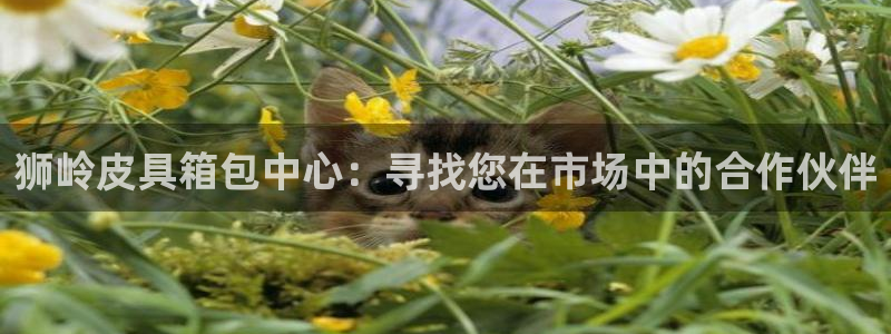 辉达娱乐可靠