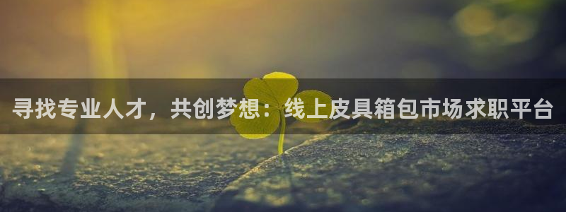 辉达娱乐app