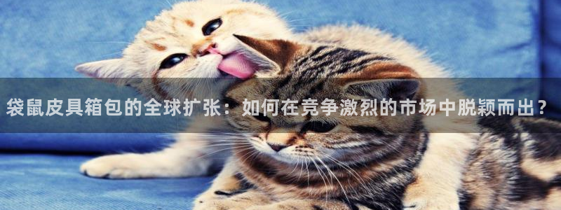 菲律宾辉达娱乐