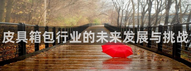 辉达娱乐属于什么档次