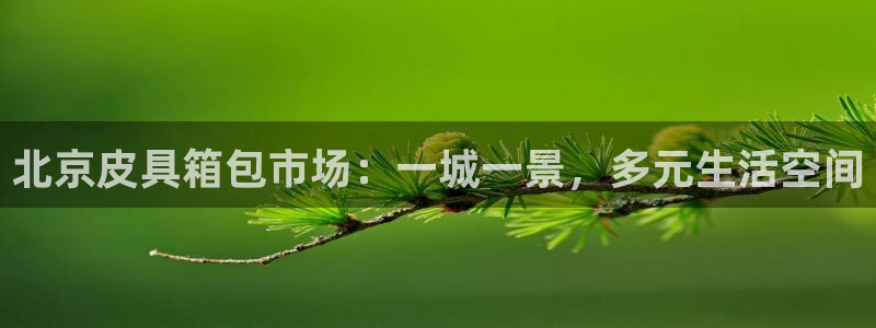 辉达娱乐体育竞猜