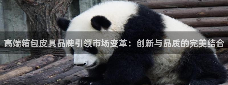 辉达娱乐丶75505