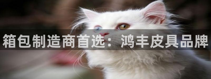 辉达娱乐重庆时时彩